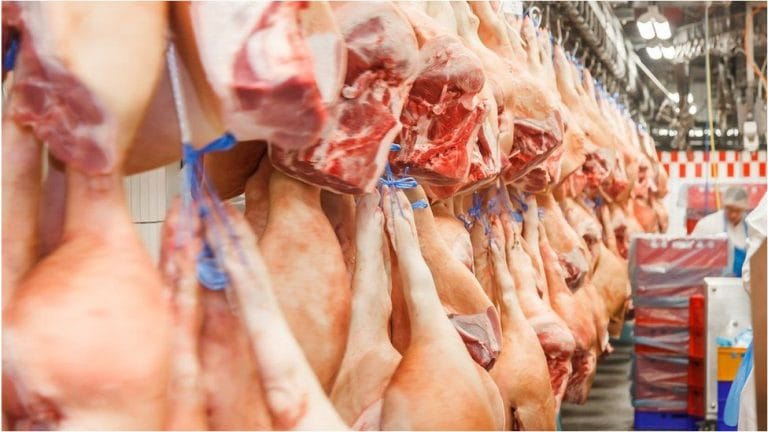 Calls For Ministers And Hsa Intervention In Worsening Meat Plant Covid Crisis