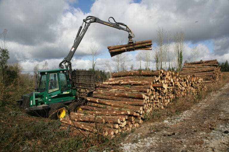 Td Horrified To Discover Coillte Sale Of 16 Hectares Of Public Forest