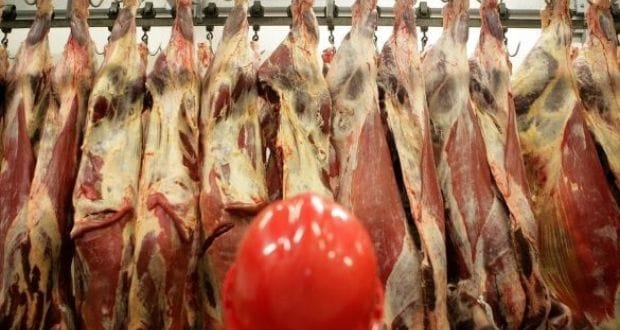 Td Calls For Hsa To Inspect Clondalkin Meat Plant Urgently