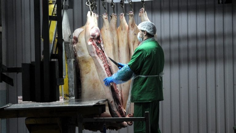 Lock Down In Kildare, Laois, Offaly- Meat Plant Profits Put Before Health